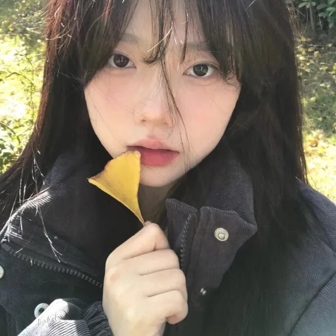 明月浸染旧时光